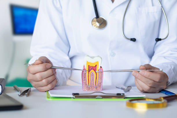 Best Emergency Treatment for Oral Infections in Wilmington, OH